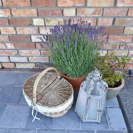 Tasteful Holiday Home In Sijsele Brugge With Garden Veldhoek Exterior photo